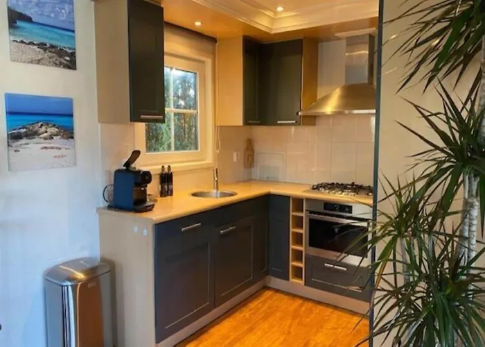 Forest With Pets Feriehus