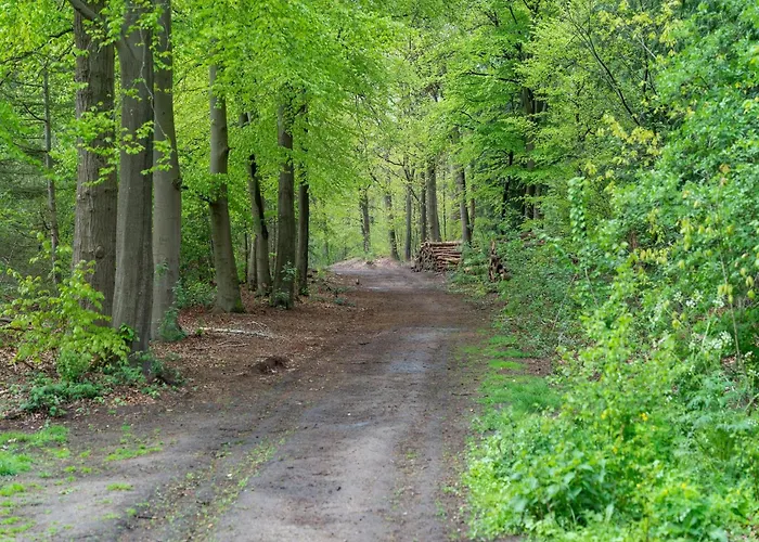 Forest With Pets Feriehus *