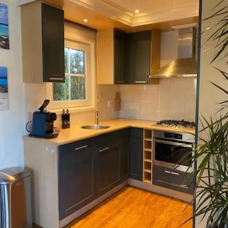 Forest With Pets Semesterbostad