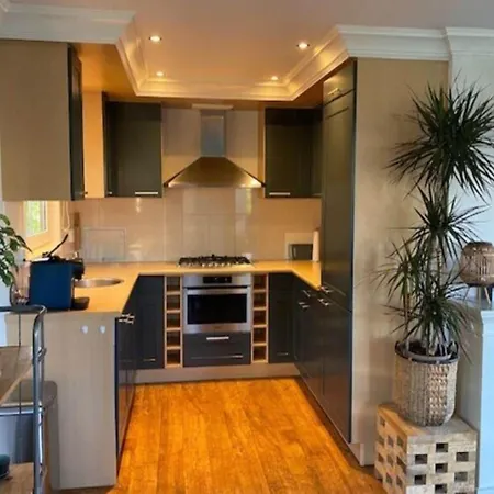 Semesterbostad Forest With Pets