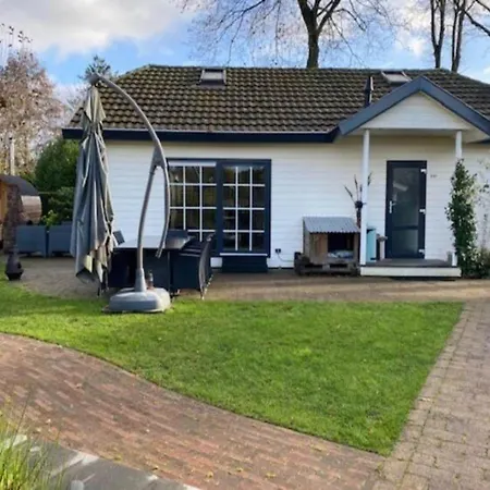 Semesterbostad Forest With Pets