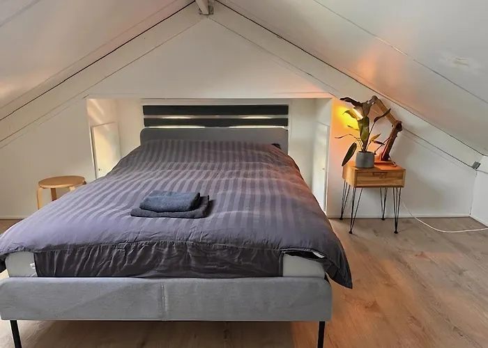 Forest With Pets Semesterbostad